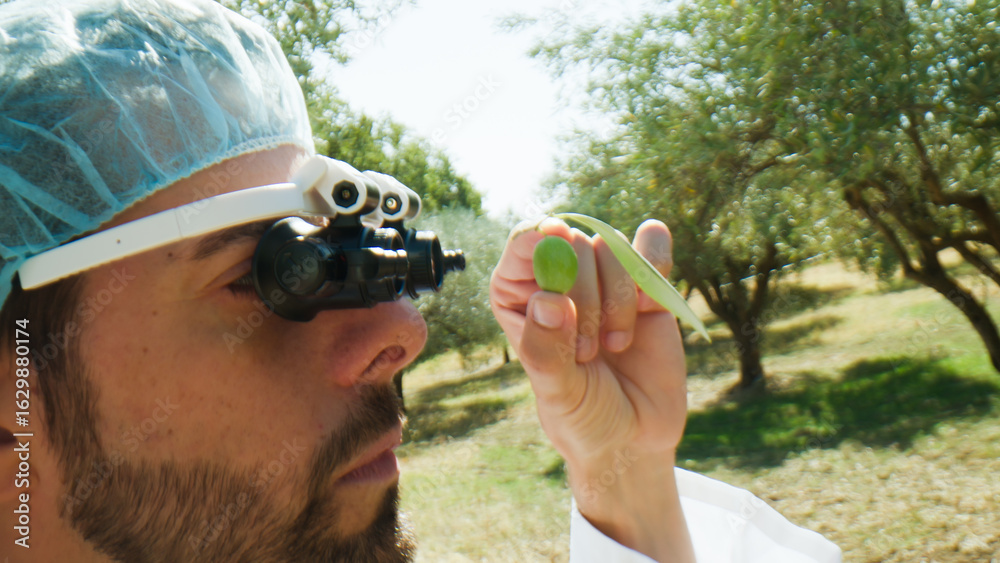 Agronomy scientist looking at an olive with special glasses